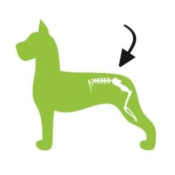 Excellent Dog Flex 250 Ml