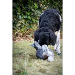 Elegant Horse Bruin -hondenvoer Verkoopwinkel 135932