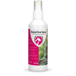 Excellent Dental Oral Spray 150 Ml
