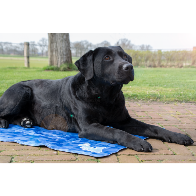 CoolPets Premium Cooling Mat L (90x60cm) 6 CoolPets Premium Cooling Mat L (90x60cm) - Afbeelding 4