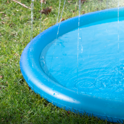CoolPets Splash Pool Sproeier -hondenvoer Verkoopwinkel 259040