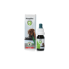 Excellent HempOne Hond En Kat Olie 10 Ml 1 Excellent HempOne Hond En Kat Olie 10 Ml -hondenvoer Verkoopwinkel 261209