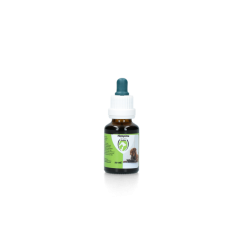 Excellent HempOne Hond En Kat Olie 10 Ml 7 Excellent HempOne Hond En Kat Olie 10 Ml -hondenvoer Verkoopwinkel 261211