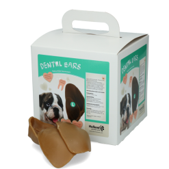 Dental Ears Large 30st 30 St