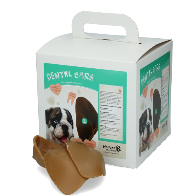 Dental Ears Large 30st 30 St 3 Dental Ears Large 30st 30 St