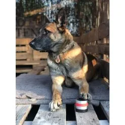 RelaxoPet PRO Dog -hondenvoer Verkoopwinkel 267460