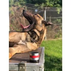 RelaxoPet PRO Dog -hondenvoer Verkoopwinkel 267464