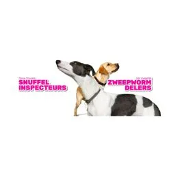 Milbemax Tabletten Puppy/Kleine Hond 4 Tabl. <5kg 4 St -hondenvoer Verkoopwinkel 270692 5