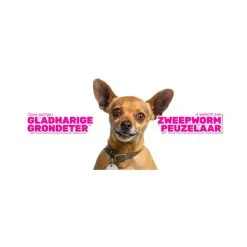 Milbemax Tabletten Puppy/Kleine Hond 4 Tabl. <5kg 4 St -hondenvoer Verkoopwinkel 270694 3