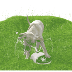 CoolPets Splash Water Fountain -hondenvoer Verkoopwinkel 271969