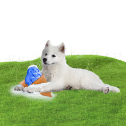 CoolPets Cooling Ice Penguin -hondenvoer Verkoopwinkel 272777