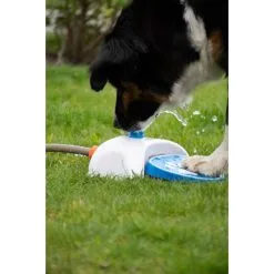CoolPets Splash Water Fountain -hondenvoer Verkoopwinkel 273158
