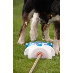 CoolPets Splash Water Fountain -hondenvoer Verkoopwinkel 273159