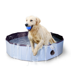 CoolPets Zwembad 80x20 -hondenvoer Verkoopwinkel 273180