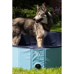CoolPets Zwembad 80x20 -hondenvoer Verkoopwinkel 273447