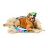 CoolPets Tropical Premium Cooling Mat Flamingo 1 CoolPets Tropical Premium Cooling Mat Flamingo -hondenvoer Verkoopwinkel 276589