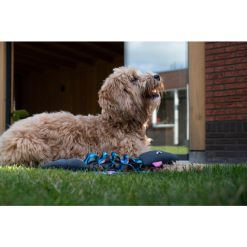 CoolPets Pull Me! Sharky (Flamingo) -hondenvoer Verkoopwinkel 278343