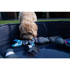 CoolPets Pull Me! Fishy Rope (Flamingo) -hondenvoer Verkoopwinkel 278344