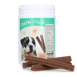 Excellent Dental Oral Care Sticks Every Day 25 St