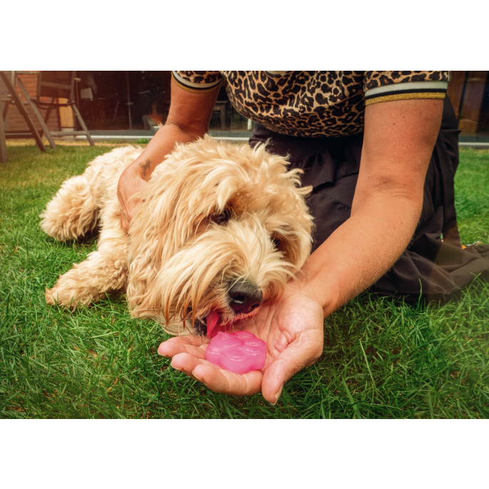 Coolpets Dog Ice Mix Strawberry 4 Coolpets Dog Ice Mix Strawberry - Afbeelding 2