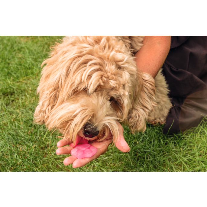 Coolpets Dog Ice Mix Strawberry 6 Coolpets Dog Ice Mix Strawberry - Afbeelding 4