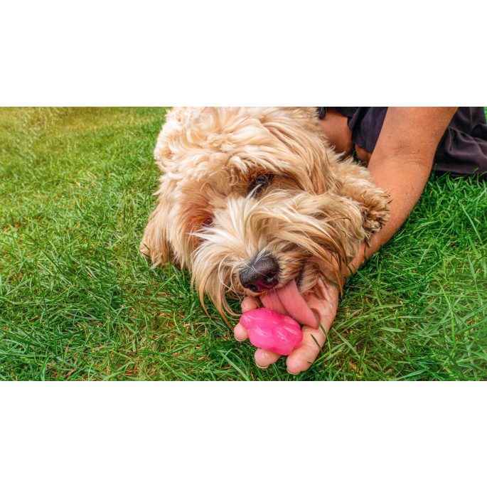 Coolpets Dog Ice Mix Strawberry 7 Coolpets Dog Ice Mix Strawberry - Afbeelding 5