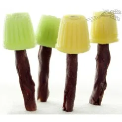 It's My Dog Honden Ijs -hondenvoer Verkoopwinkel 32703798 imd45218 det2