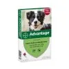 Advantage Hond 250