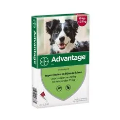 Advantage Hond 250