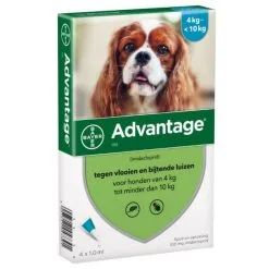 Advantage Hond 100