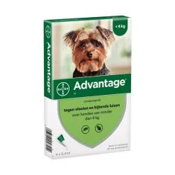 Advantage Hond 40