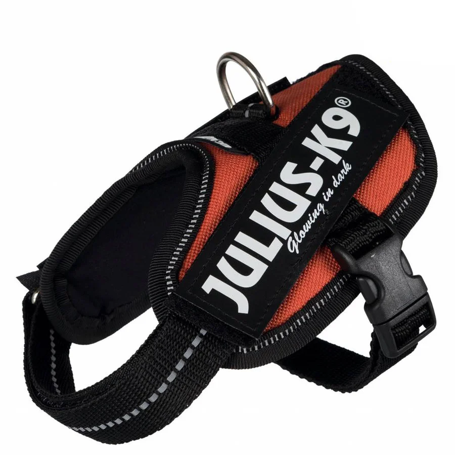 Julius K9 Julius-K9 IDC Powerharness 0 (58-76cm) 4 Julius K9 Julius-K9 IDC Powerharness 0 (58-76cm) - Afbeelding 2