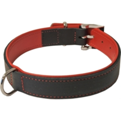 Junai.nl Hondenhalsband Soft Gevoerd Zwart / Rood