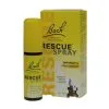 Bach Rescue Spray 2 Bach Rescue Spray -hondenvoer Verkoopwinkel pnrescue4 det0