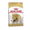 Royal Canin German Shepherd Adult 11 Kg 1 Royal Canin German Shepherd Adult 11 Kg -hondenvoer Verkoopwinkel royal canin german shepherd adult 11 kg