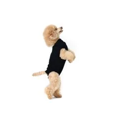 Suitical Happy Recovery Recovery Suit Zwart Small+. Verpakking: 1st. 49cm